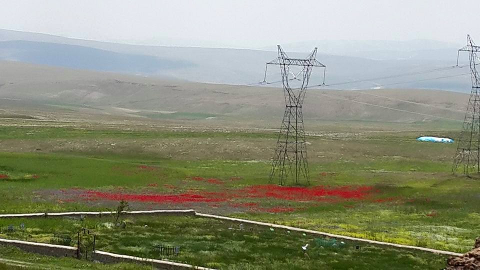 Gürün Çiçekyurt Köyü Resimleri 14