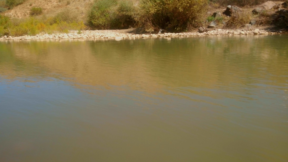 Tercan Kökpınar Köyü Resimleri 2