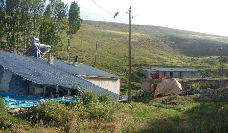 Tercan Köprübaşı Köyü Resimleri 3