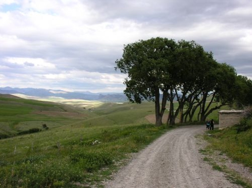 Tercan Mantarlı Köyü Resimleri 11