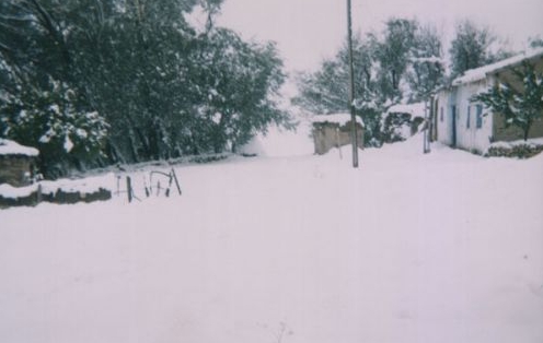 Tercan Mantarlı Köyü Resimleri 5