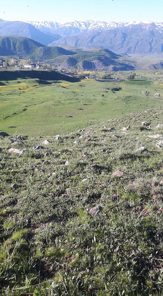 Tercan Oğulveren Köyü Resimleri 14