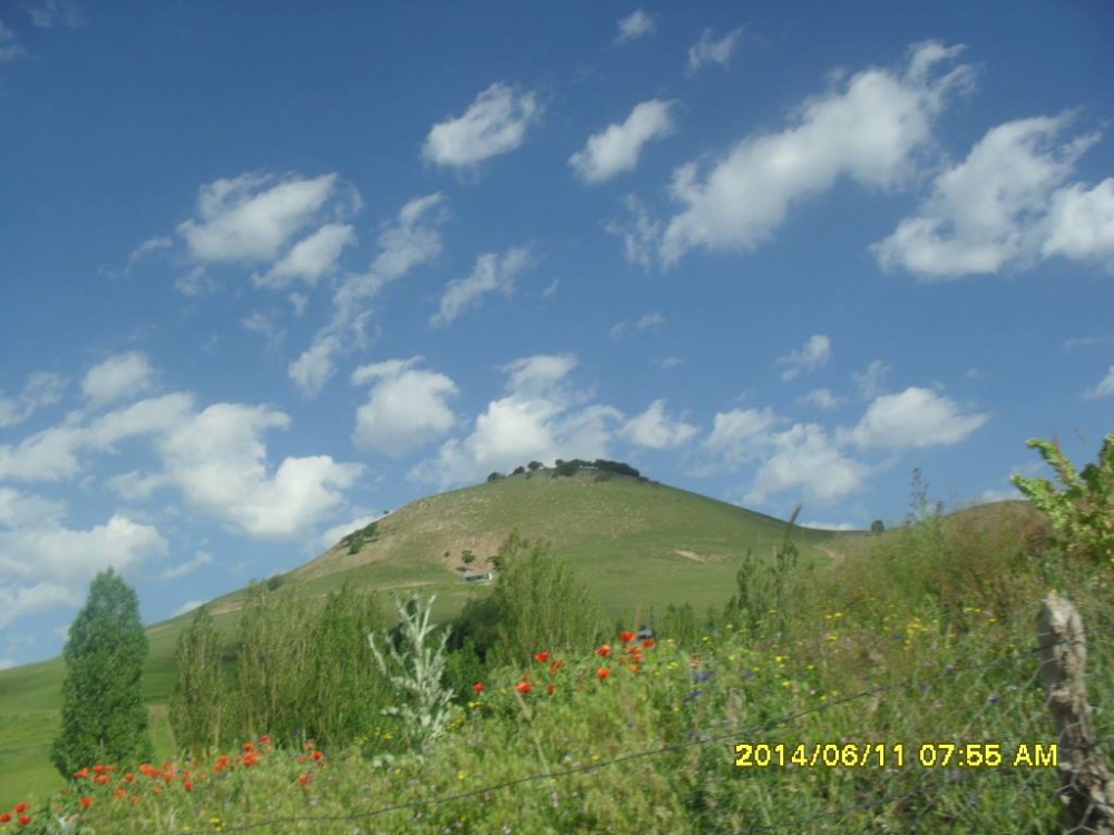 Tercan Oğulveren Köyü Resimleri 6