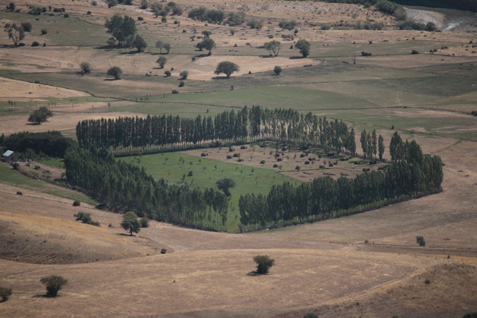 Tercan Oğulveren Köyü Resimleri 9