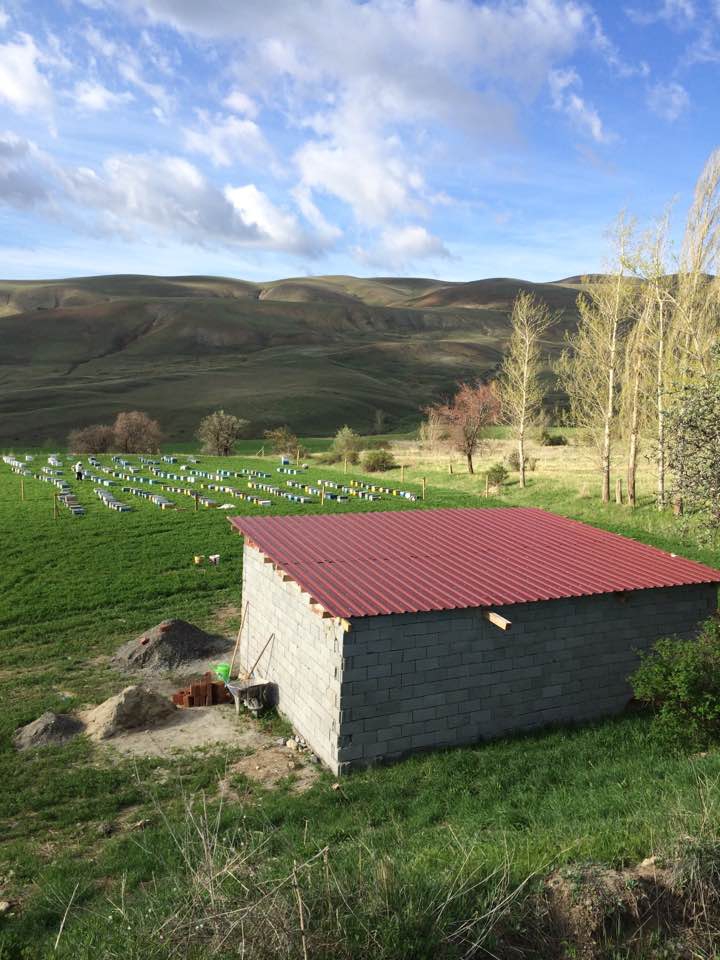 Tercan Ortaköy Köyü Resimleri 4