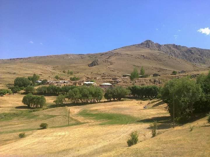 Tercan Şengül Köyü Resimleri 5