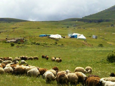Tercan Sarıkaya Köyü Resimleri 2