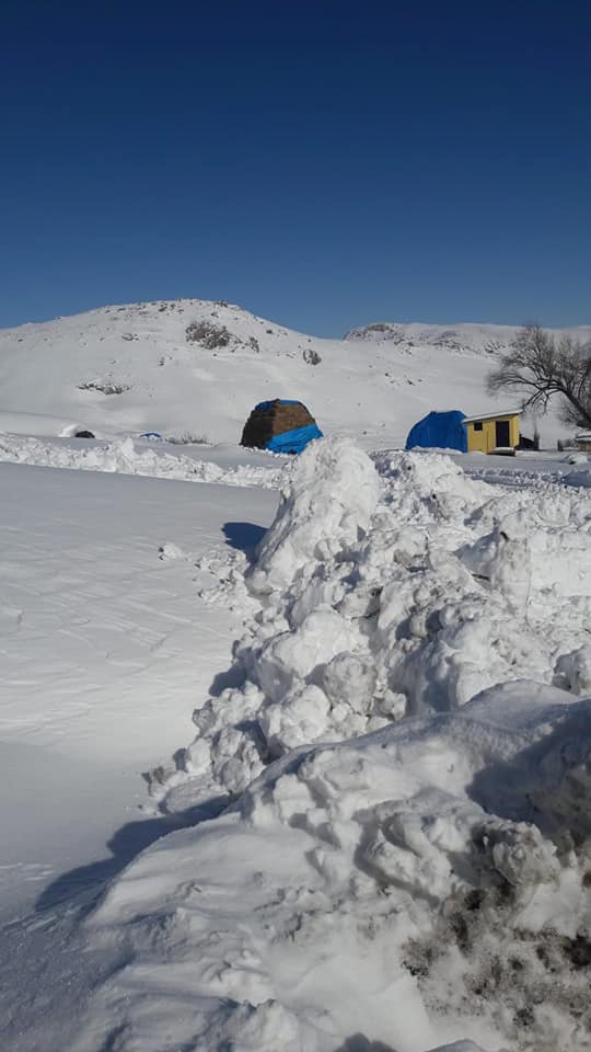 Tercan Tepebaşı Köyü Resimleri 1