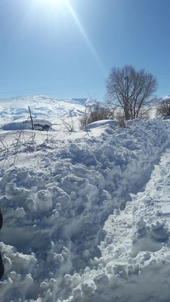 Tercan Tepebaşı Köyü Resimleri 2