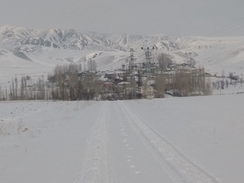 Tercan Yalınkaş Köyü Resimleri 1