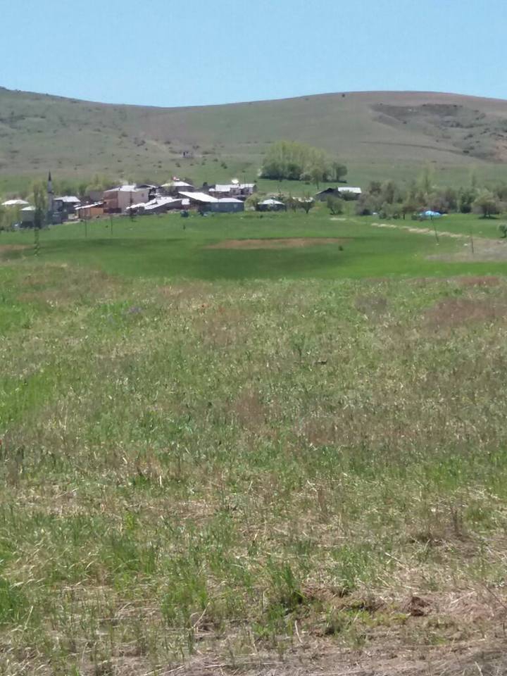 Tercan Yalınkaş Köyü Resimleri 2