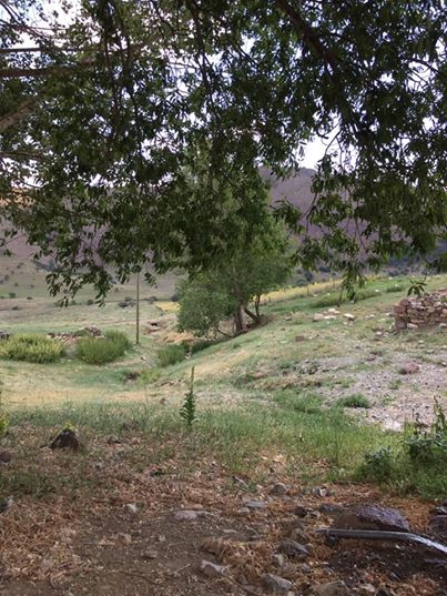 Tercan Yamanlar Köyü Resimleri 8