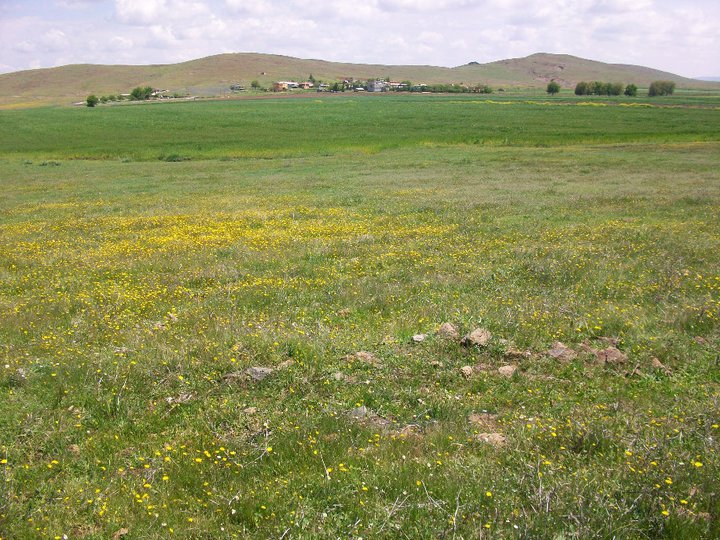 Tercan Yaylacık Köyü Resimleri 1
