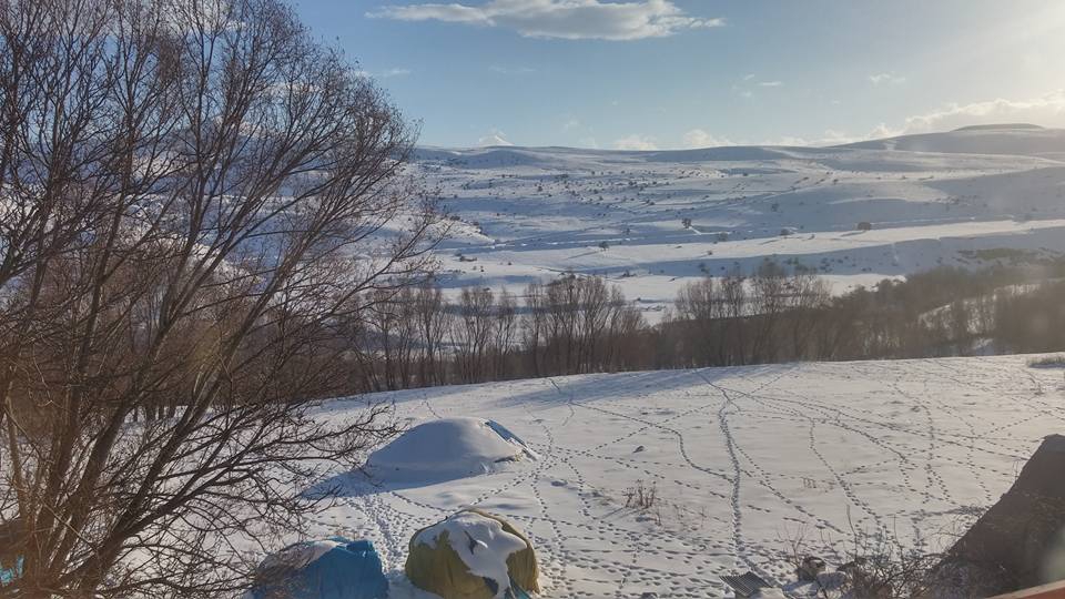 Tercan Yaylacık Köyü Resimleri 12