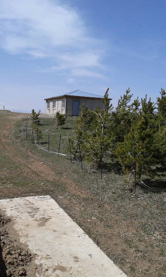 Tercan Yaylacık Köyü Resimleri 5