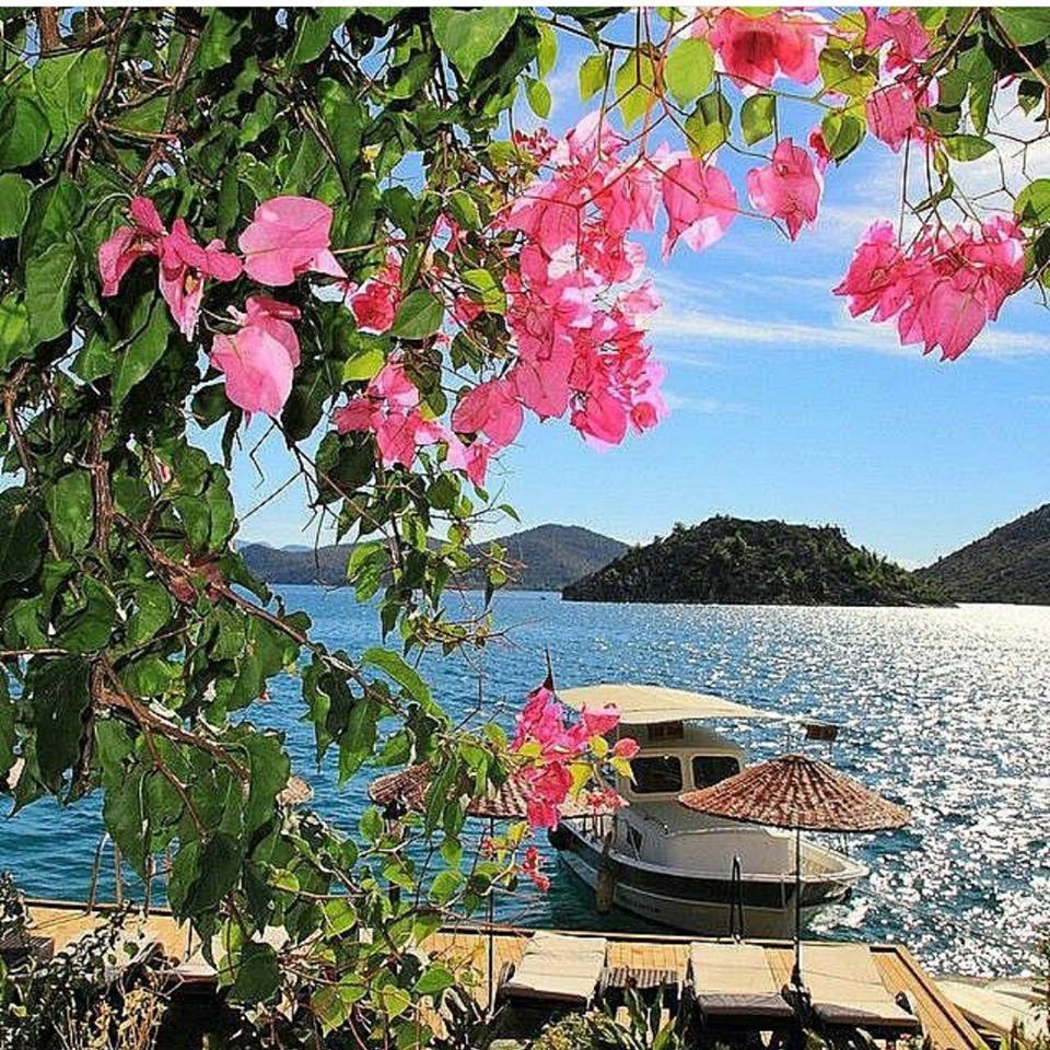 Marmaris Selimiye Köyü Resimleri 32