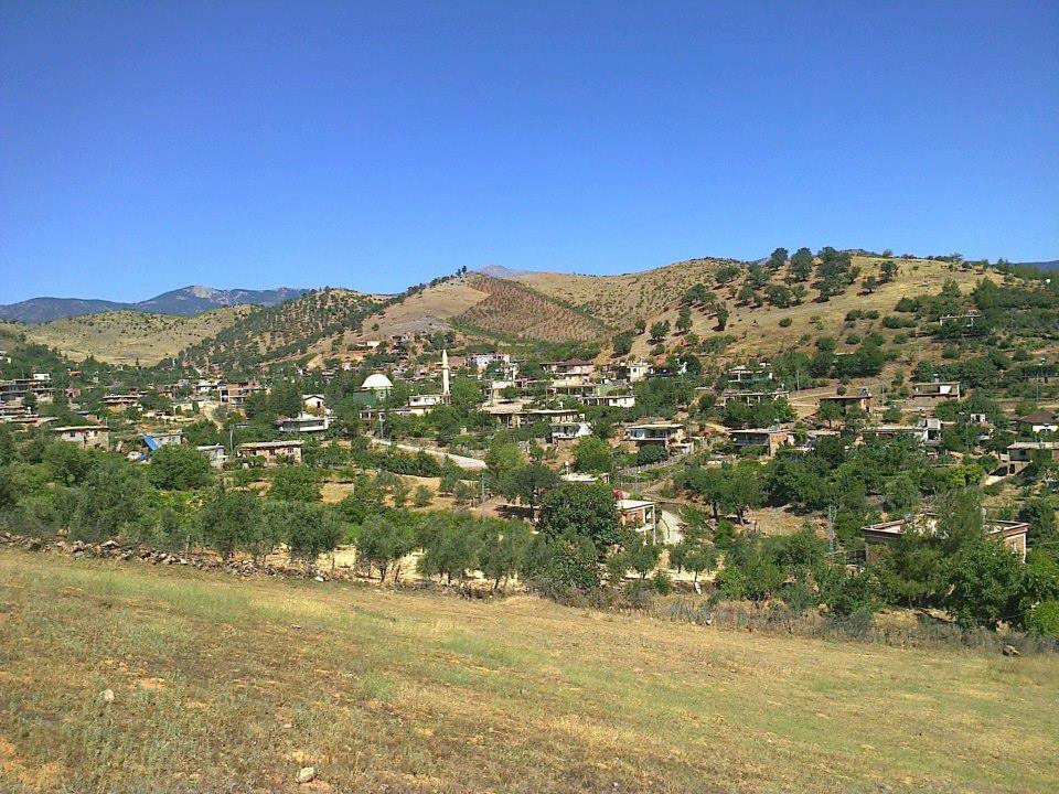 Türkoğlu Uzunsöğüt Köyü Resimleri 10