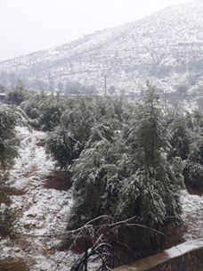 Türkoğlu Uzunsöğüt Köyü Resimleri 4