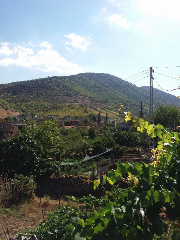 Türkoğlu Uzunsöğüt Köyü Resimleri 8