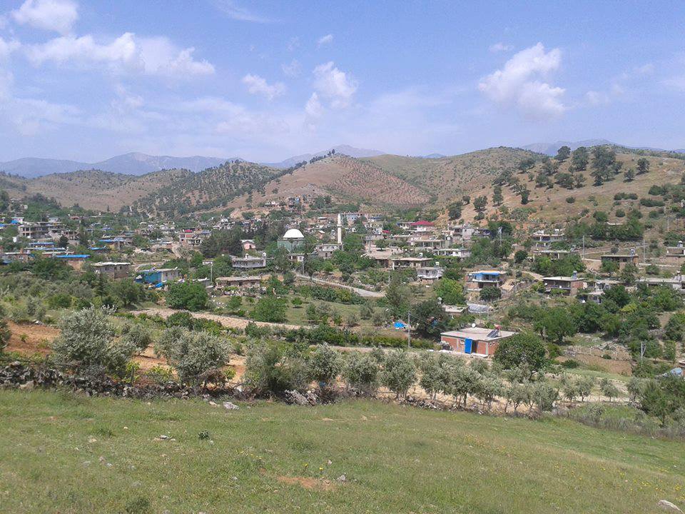 Türkoğlu Uzunsöğüt Köyü Resimleri 9