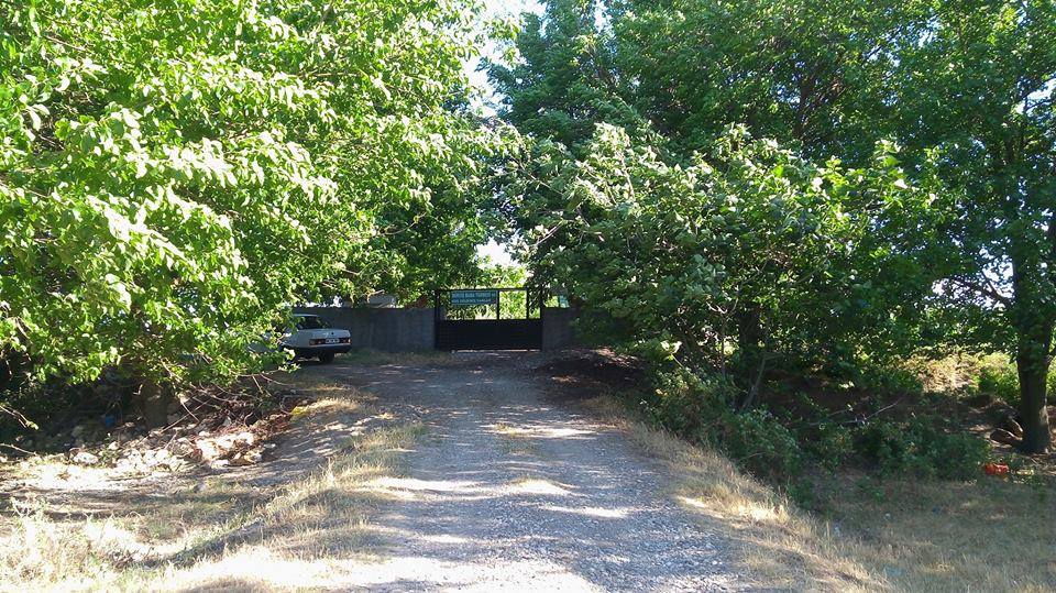 Türkoğlu Yavuzlar Köyü Resimleri 10