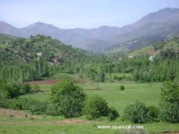 Türkoğlu Yavuzlar Köyü Resimleri 2