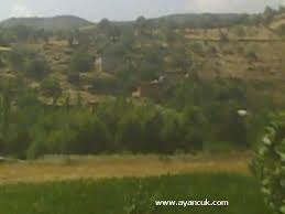 Türkoğlu Yavuzlar Köyü Resimleri 5