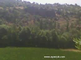 Türkoğlu Yavuzlar Köyü Resimleri 7