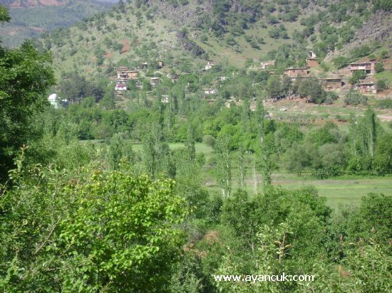 Türkoğlu Yavuzlar Köyü Resimleri 8