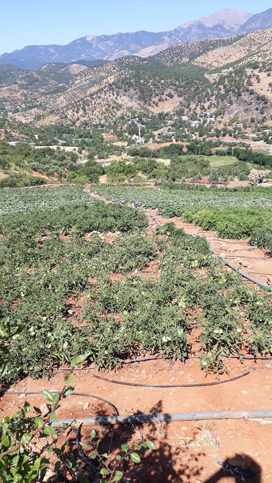 Türkoğlu Yavuzlar Köyü Resimleri 9