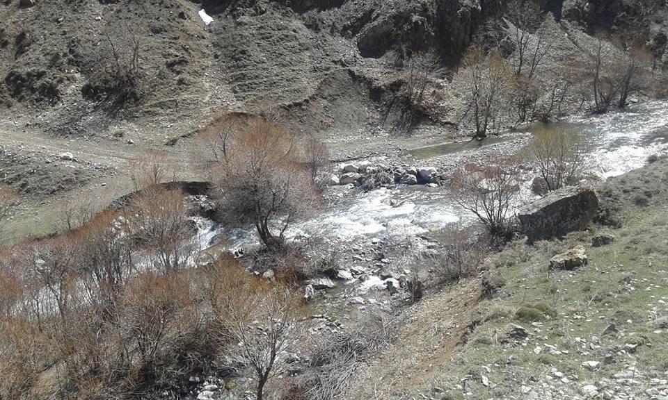 Tercan Yaylım Köyü Resimleri 10