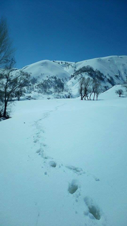 Tercan Yaylım Köyü Resimleri 2
