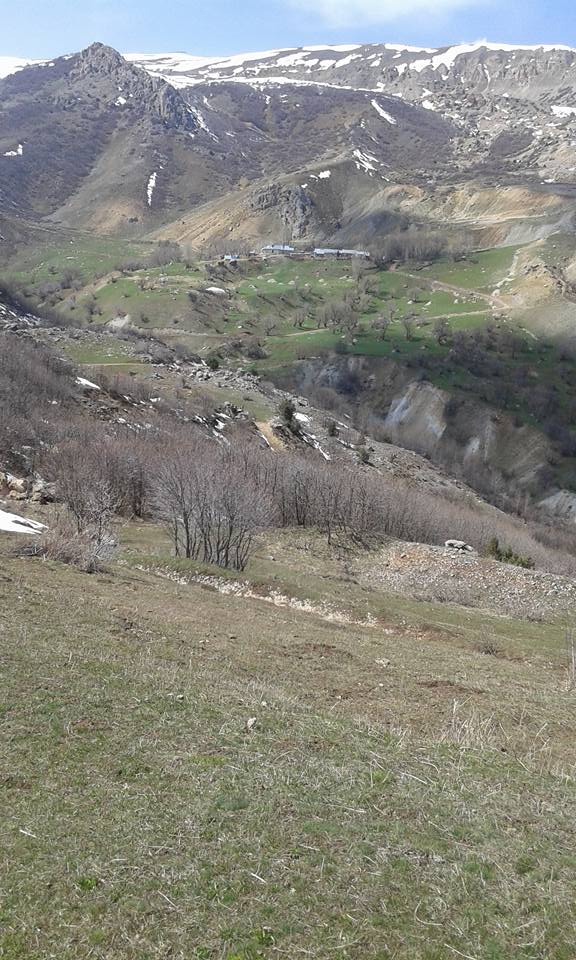 Tercan Yaylım Köyü Resimleri 4