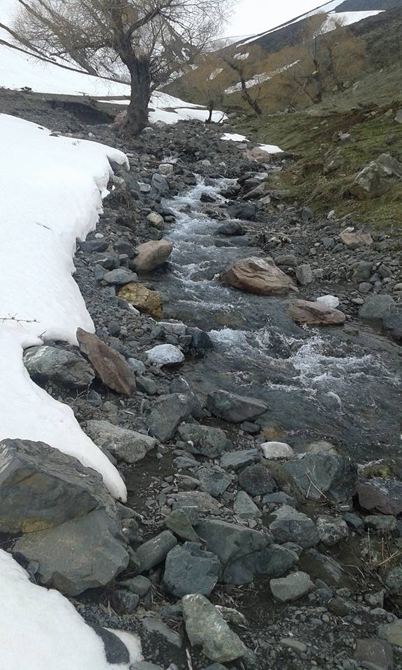 Tercan Yaylım Köyü Resimleri 5