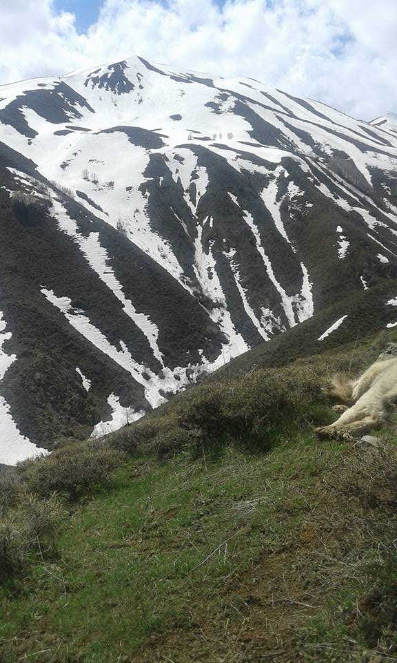 Tercan Yaylım Köyü Resimleri 9