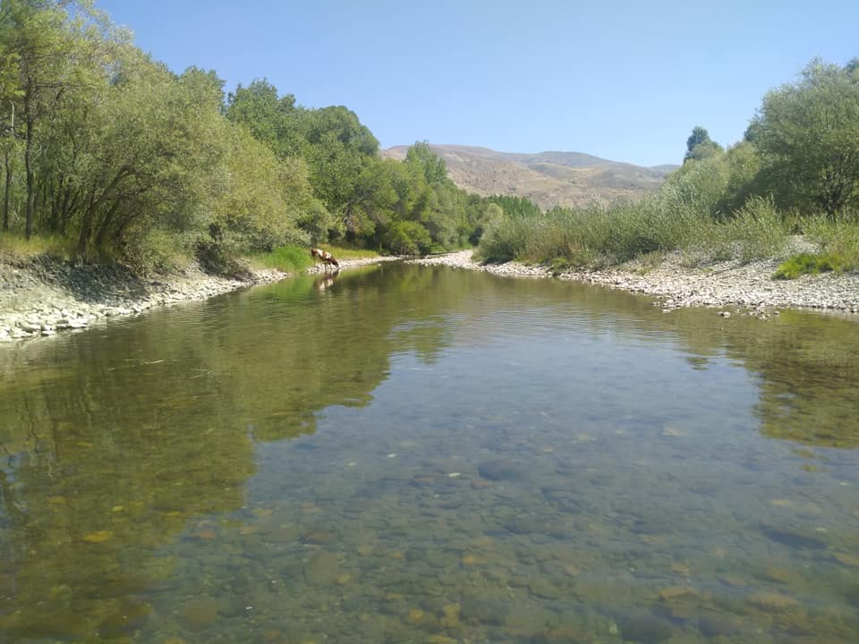 Tercan Yazıören Köyü Resimleri 12