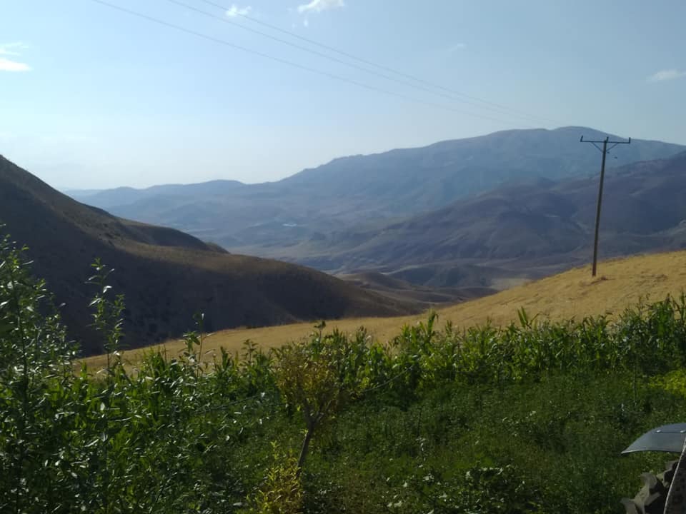 Tercan Yazıören Köyü Resimleri 14