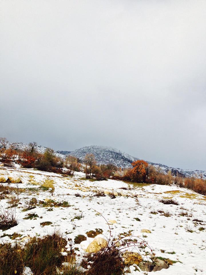 Tercan Yazıören Köyü Resimleri 8