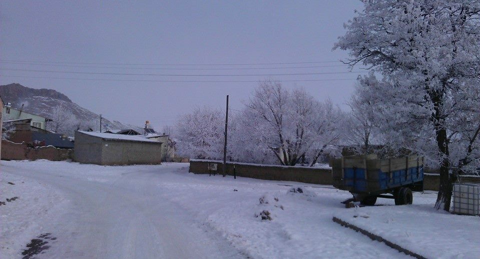 Tercan Yazıören Köyü Resimleri 9