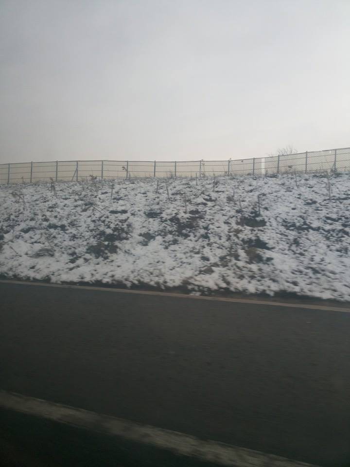 Türkoğlu Yeniköy Köyü Resimleri 10