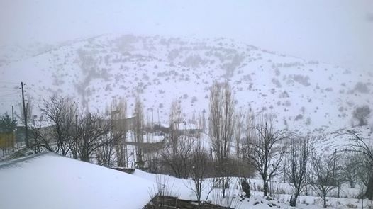 Türkoğlu Yeniköy Köyü Resimleri 8