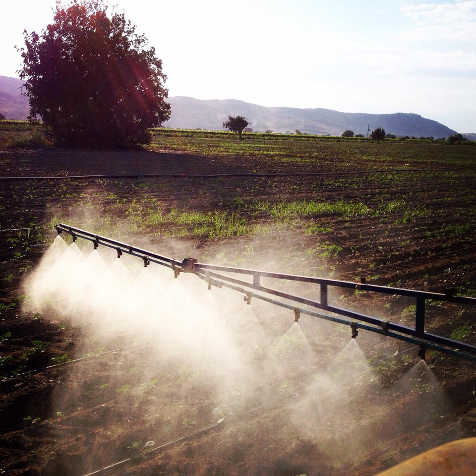 Türkoğlu Yeniköy Köyü Resimleri 9