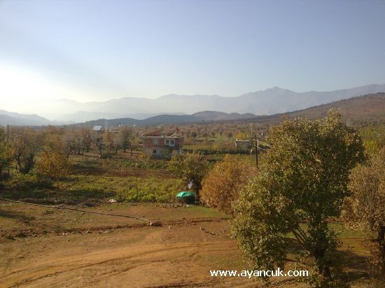 Türkoğlu Yenipınar Köyü Resimleri 7