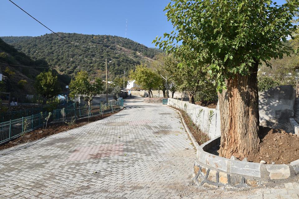 Türkoğlu Yeşilyurt Köyü Resimleri 1