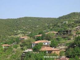 Türkoğlu Yeşilyurt Köyü Resimleri 10