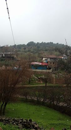 Türkoğlu Yeşilyurt Köyü Resimleri 6