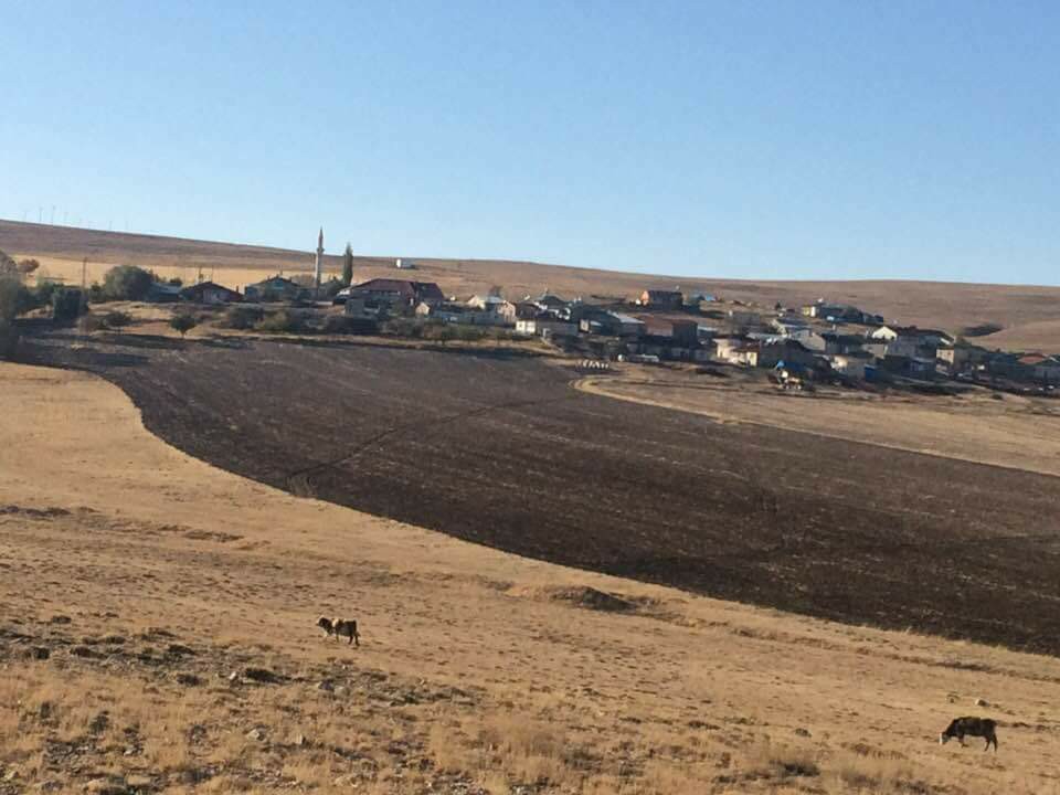 Gürün Dayakpınar Köyü Resimleri 11