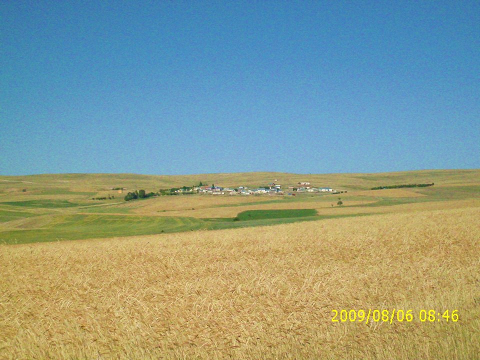 Gürün Dayakpınar Köyü Resimleri 22