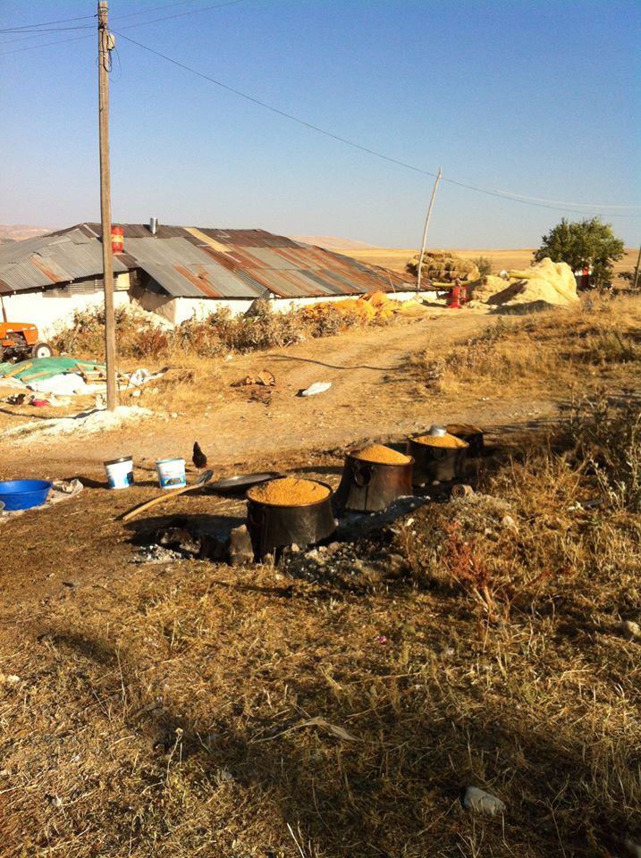 Gürün Dayakpınar Köyü Resimleri 25