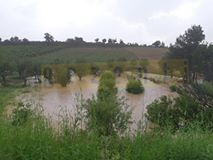 Çal Alfaklar Köyü Resimleri 4